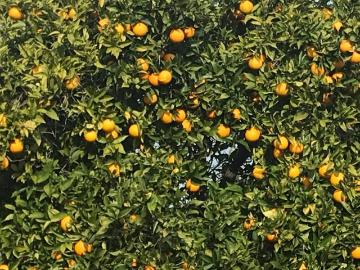 Amora, Distrito de Setúbal