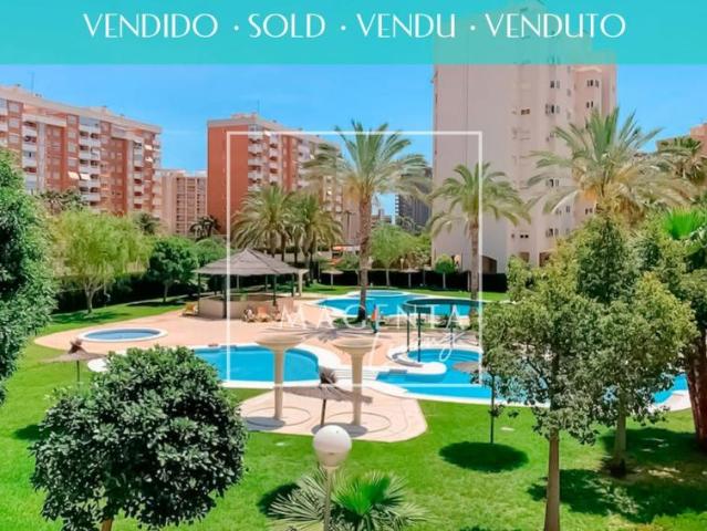 Apartamentos Alicante Alicante 98881541