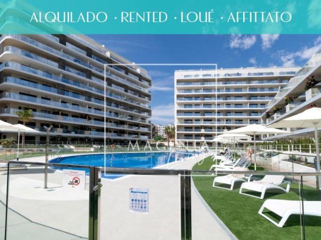 Apartamentos Alicante Alicante 98881545