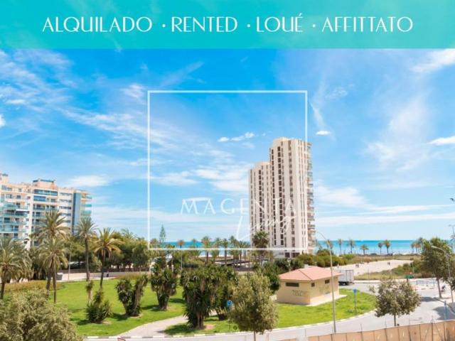 Apartamentos Alicante Alicante 98881547