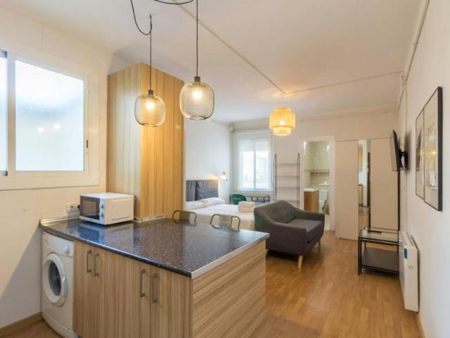 Apartamentos Barcelona Barcelona 101343854