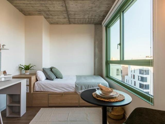Apartamentos Barcelona Barcelona 102662178