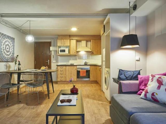 Apartamentos Barcelona Barcelona 103426387