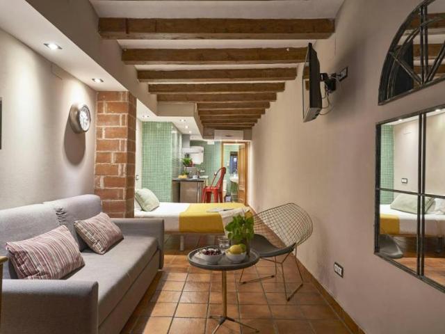 Apartamentos Barcelona Barcelona 103843120