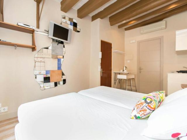 Apartamentos Barcelona Barcelona 104472532