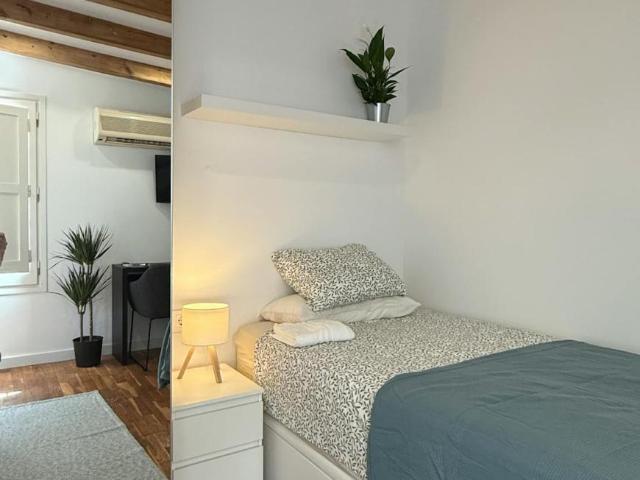 Apartamentos Barcelona Barcelona 104564261