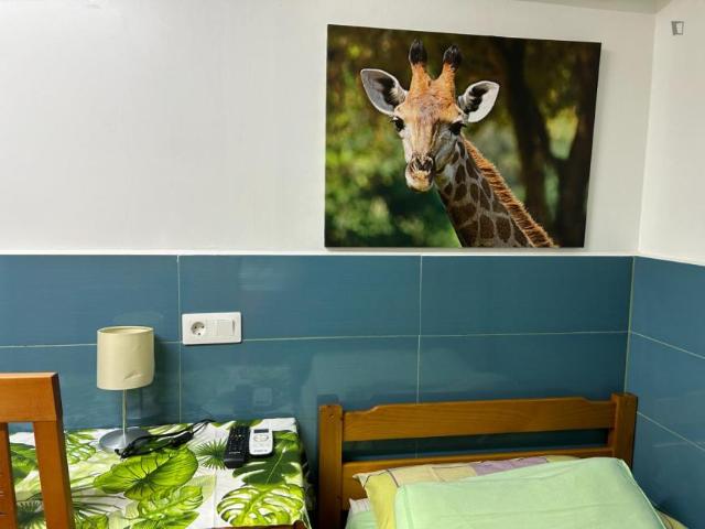 Apartamentos Barcelona Barcelona 104927625