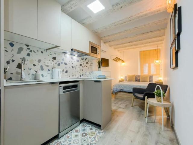 Apartamentos Barcelona Barcelona 104182973
