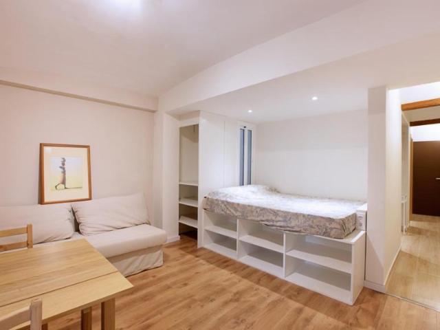 Apartamentos Barcelona Barcelona 105716409