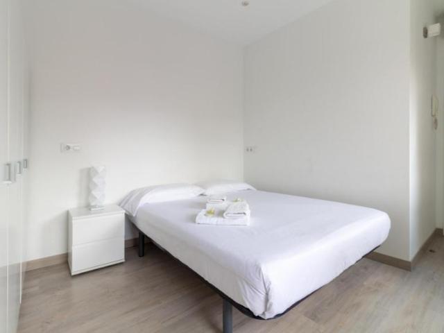 Apartamentos Barcelona Barcelona ES103697400