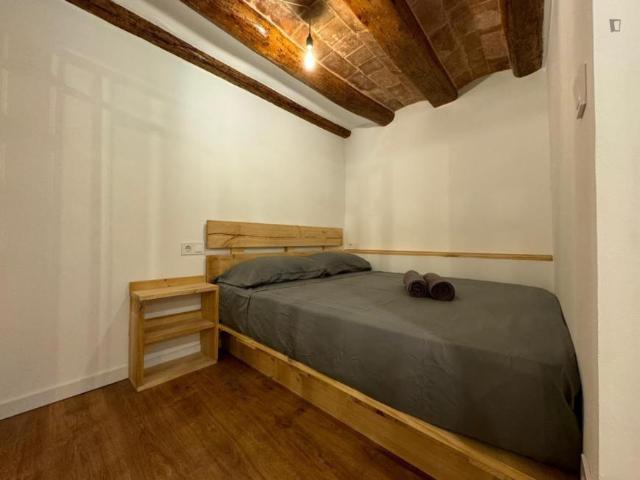 Apartamentos Barcelona Barcelona ES106007839