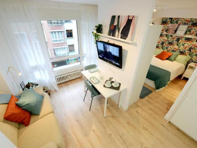 Apartamentos Bilbao Bilbao 105251462