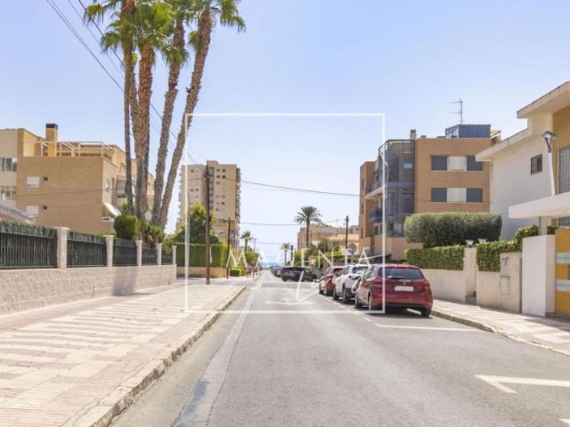 Apartamentos El Campello Alicante ELS98881532