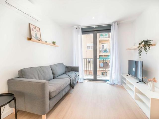 Apartamentos Elche Elche 104783038