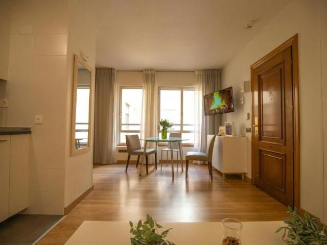 Apartamentos Madrid Madrid 85518146