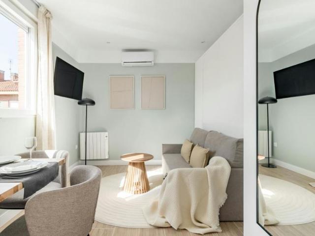 Apartamentos Madrid Madrid 91153640