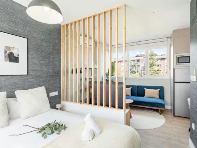 Apartamentos Madrid Madrid 97138504