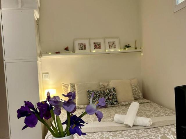 Apartamentos Madrid Madrid 102703394