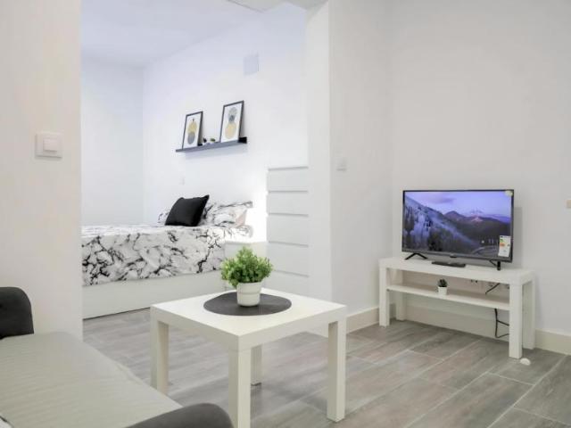 Apartamentos Madrid Madrid 103542635