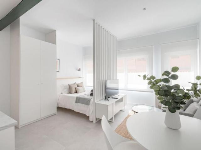 Apartamentos Madrid Madrid 103595226