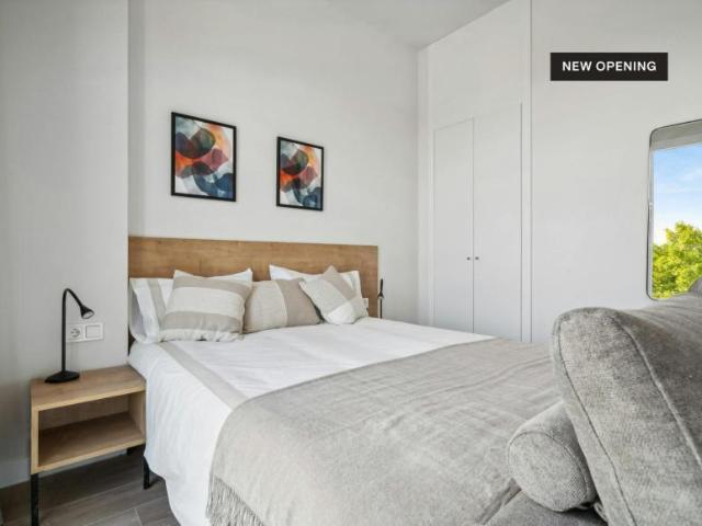 Apartamentos Madrid Madrid 103595280