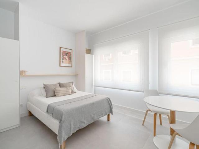 Apartamentos Madrid Madrid 103595317