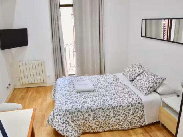 Apartamentos Madrid Madrid 103612395