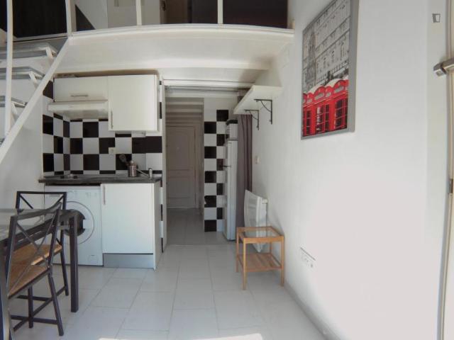 Apartamentos Madrid Madrid 103265891