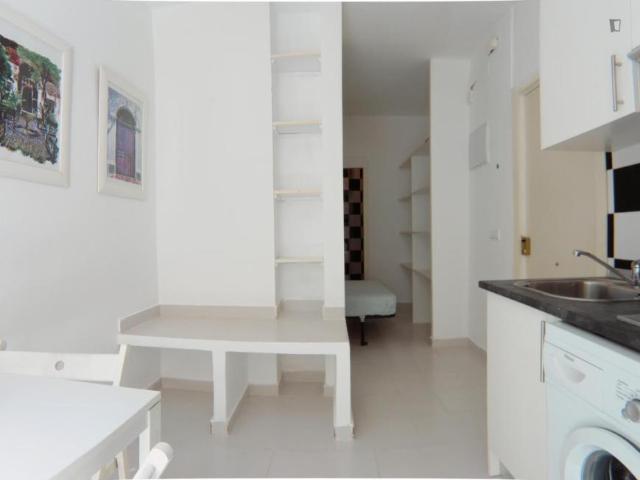 Apartamentos Madrid Madrid 103265009
