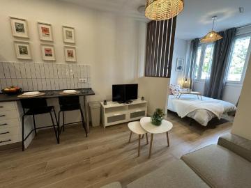 Apartamentos Madrid Madrid 103267844