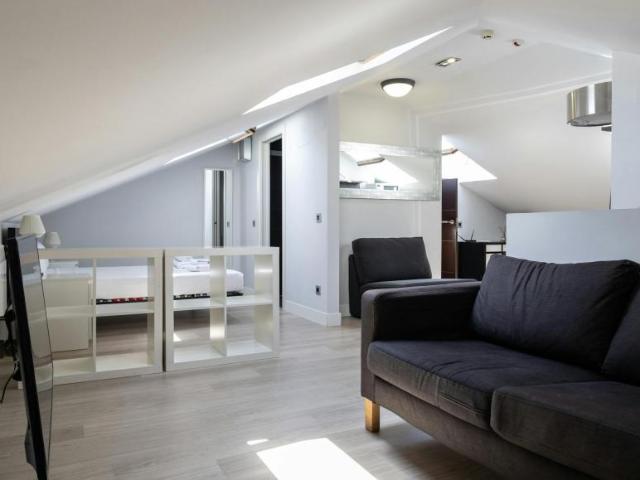 Apartamentos Madrid Madrid 103302991