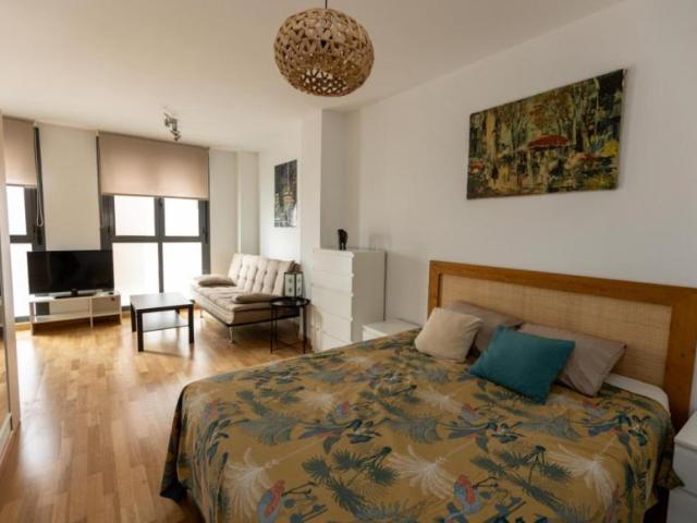 Apartamentos Madrid Madrid 104507114