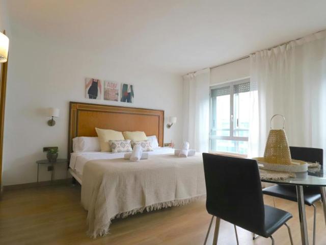 Apartamentos Madrid Madrid 104754746