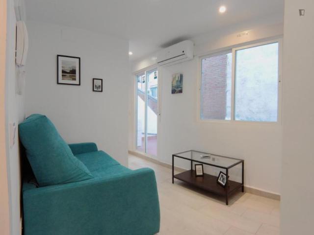 Apartamentos Madrid Madrid 104946313