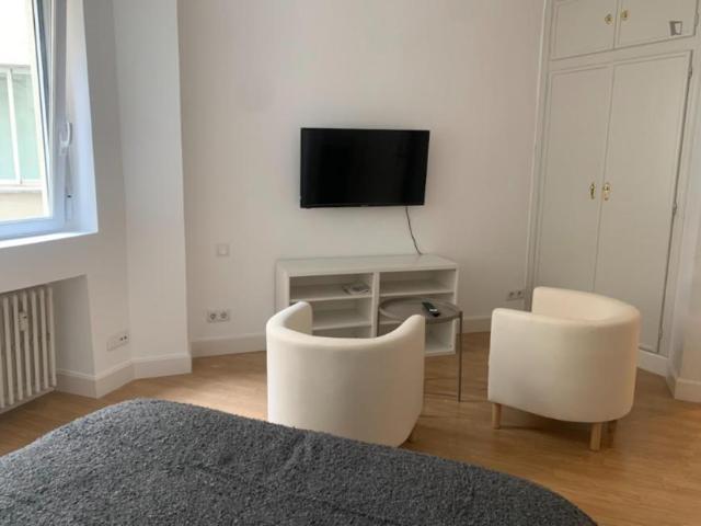 Apartamentos Madrid Madrid 104363637