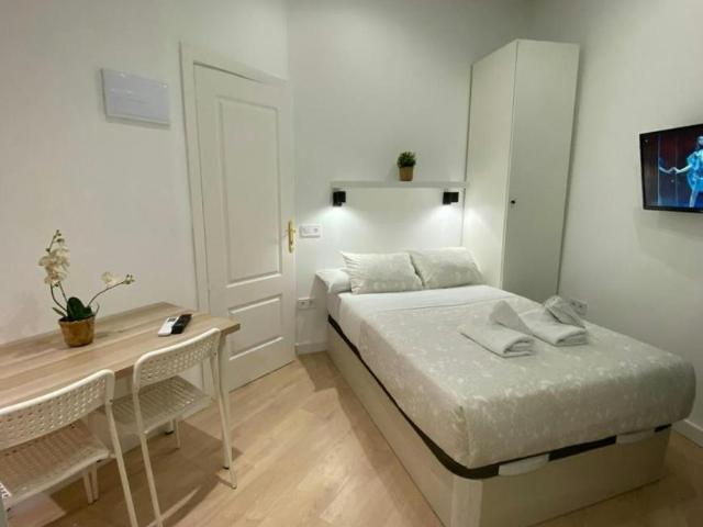 Apartamentos Madrid Madrid 104364724