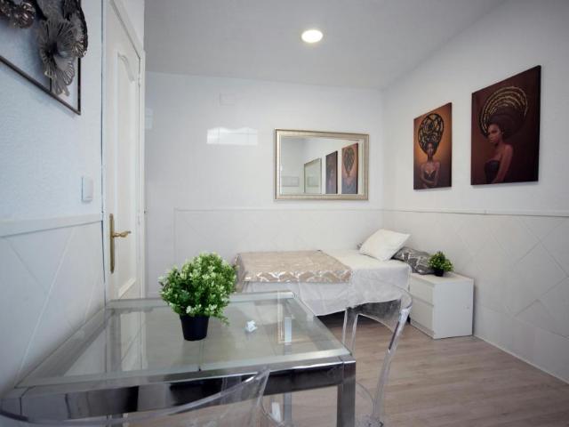Apartamentos Madrid Madrid 105507702
