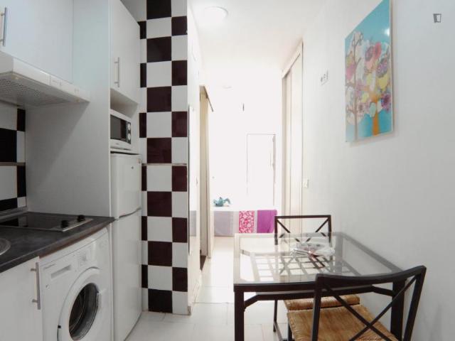 Apartamentos Madrid Madrid 105046804