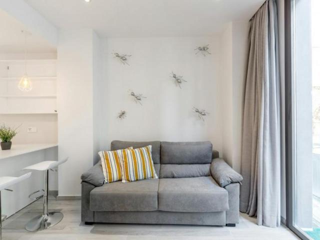 Apartamentos Málaga Málaga 103613559