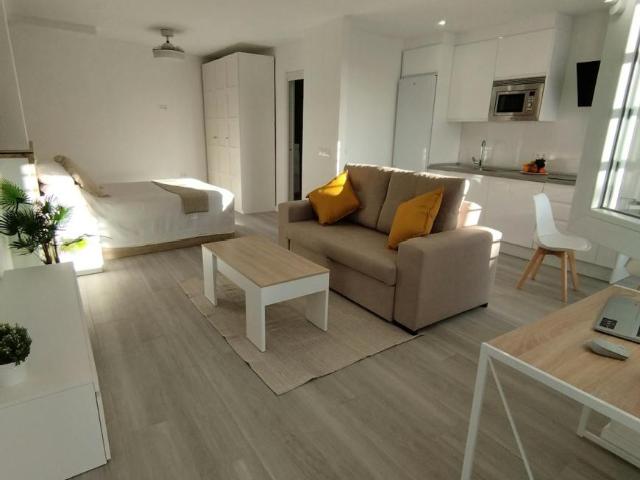 Apartamentos Málaga Málaga 105025209