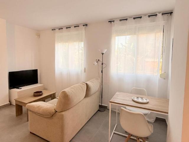 Apartamentos Málaga Málaga 106006261
