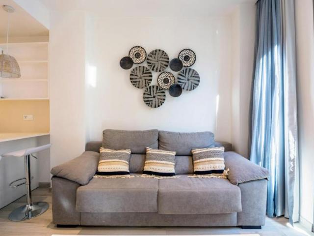 Apartamentos Málaga Málaga ELS102367526