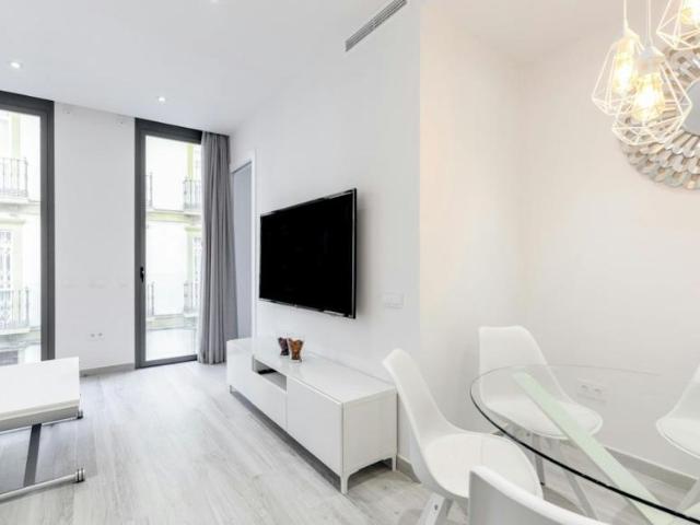 Apartamentos Málaga Málaga ES103613559