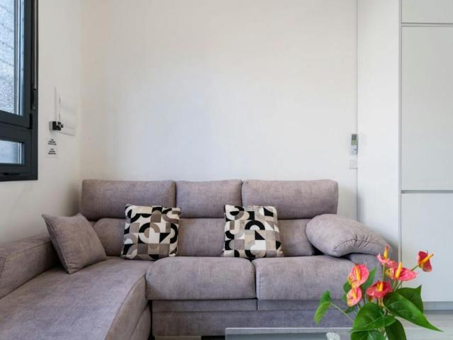 Apartamentos Málaga Málaga ES106194648
