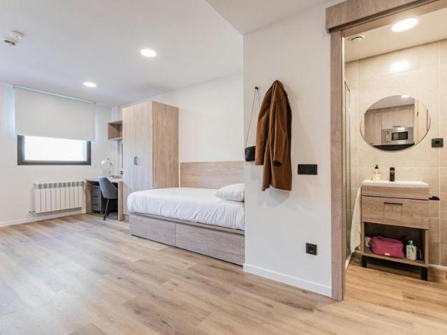 Apartamentos Santander Santander 102308711