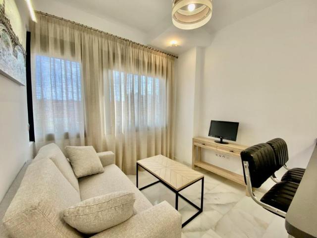 Apartamentos Sevilla Sevilla 103012669