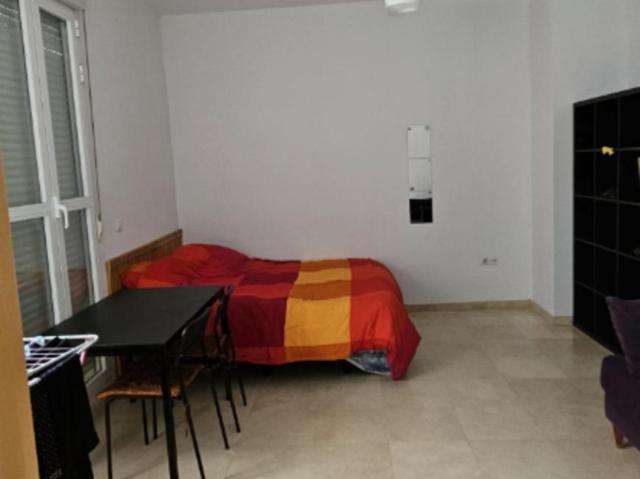 Apartamentos Sevilla Sevilla 103326704