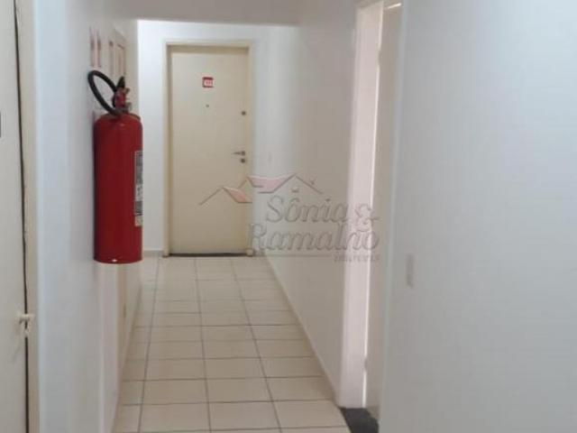 Apartamentos Padrão em Ribeirão Preto