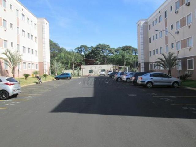 Apartamentos Padrão em Ribeirão Preto
