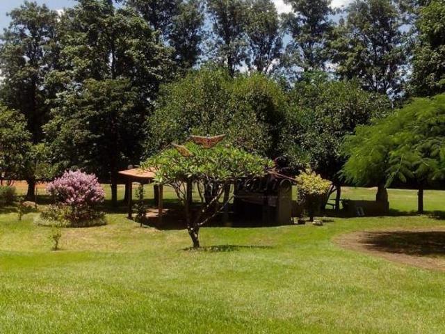 Apartamentos Padrão em Ribeirão Preto